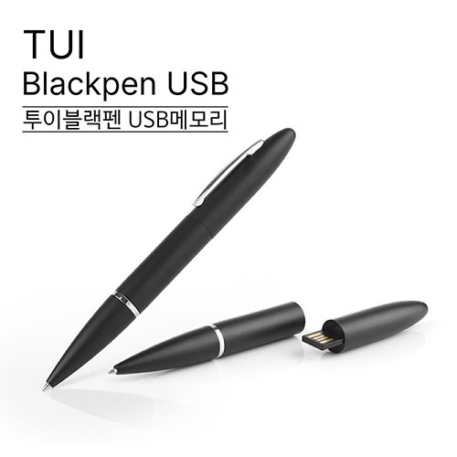디알링크 메모리,투이(TUI) 블랙펜 USB메모리 16GB,투이(TUI),USB메모리 > 볼펜 USB > 16GB