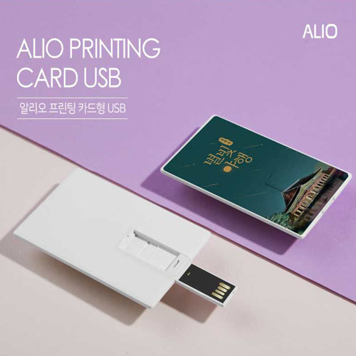 디알링크 메모리,알리오(ALIO) 프린팅 카드형 USB메모리 128GB,알리오(ALIO),USB메모리 > 카드형 USB > 128GB